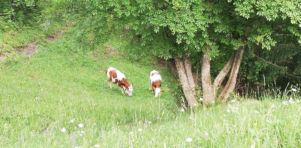 Agriturismo Ferienhof Gschloier (Adults Only) ไลออน ภายนอก รูปภาพ