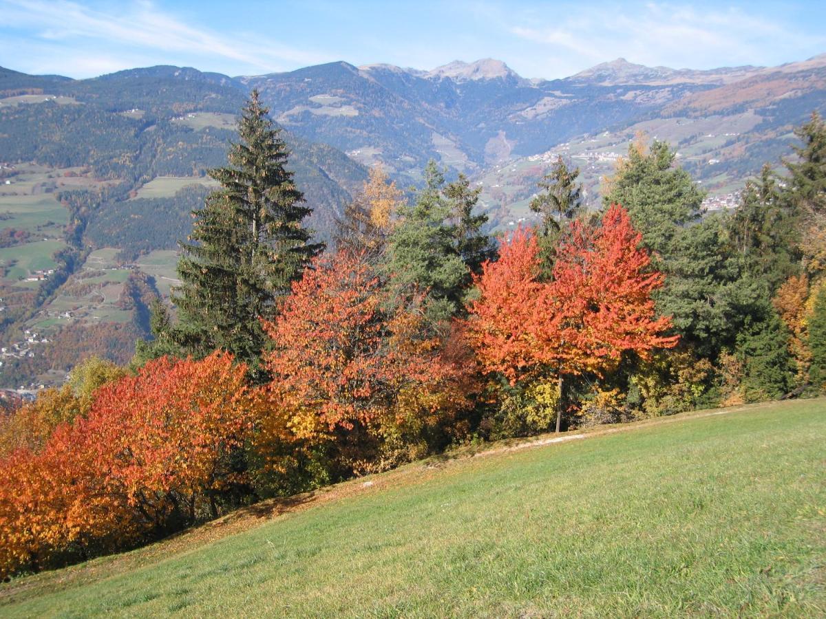 Agriturismo Ferienhof Gschloier (Adults Only) ไลออน ภายนอก รูปภาพ